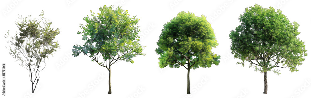 4 different realistic green trees on a white background, png. 4 different realistic green trees on a white background, png.