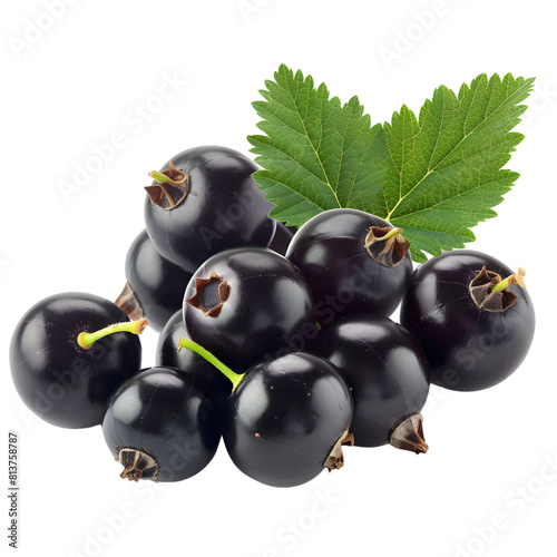 blackcurrant on transparent png background photo