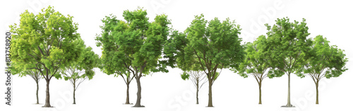 4 different realistic green trees on a white background  png.