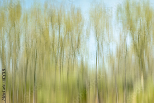 Tree reflections in water abstract blurred landscape photography, taken on a spring day in Iowa. 