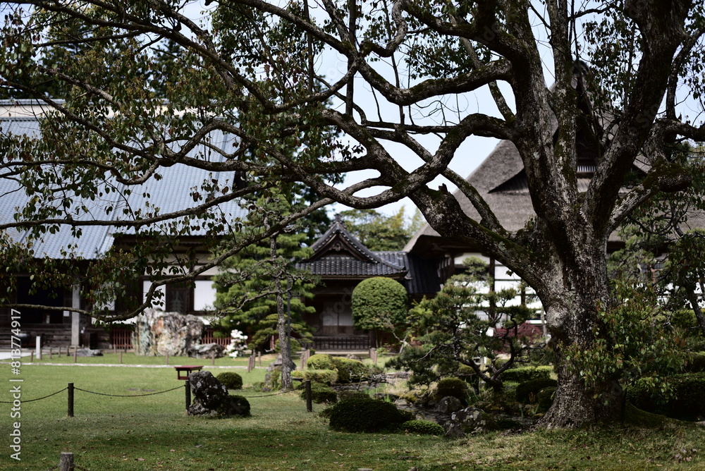 佐渡島の妙宣寺にて 佐渡島の妙宣寺にて