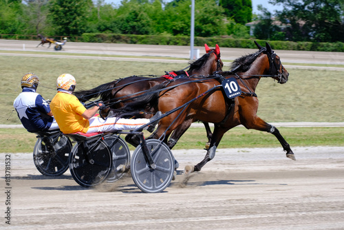 Racing horses trots and rider on a track of stadium. Competitions for trotting horse racing. Horses compete in harness racing. Horse runing at the track with rider. 