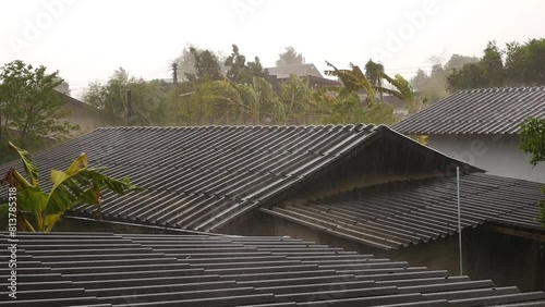 Wallpaper Mural Heavy rain and strong wind blowing trees. Downpour Torontodigital.ca