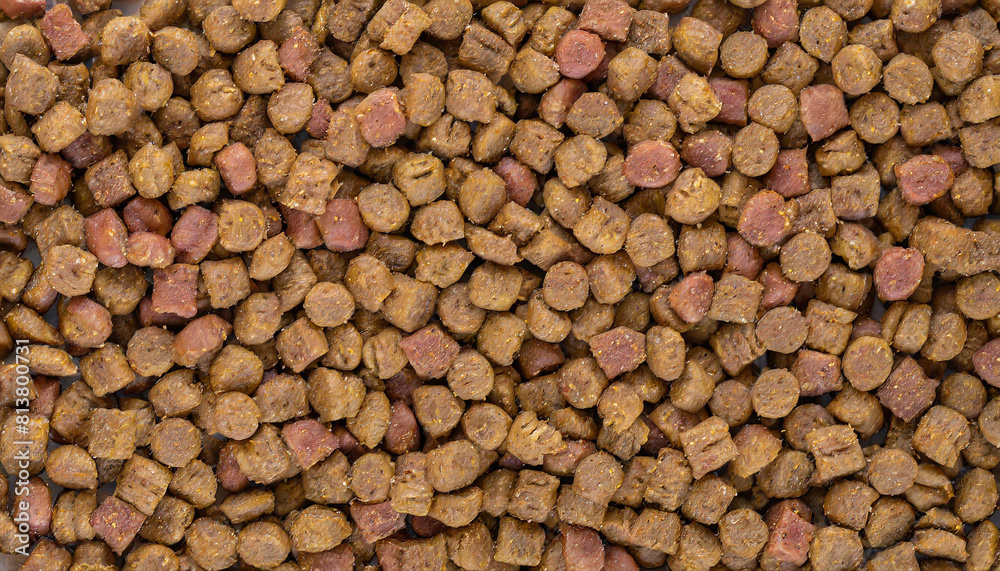Catfood texture background. Dry food for animals. Pet meal close up. Dried pet food top view Catfood texture background. Dry food for animals. Pet meal close up. Dried pet food top view