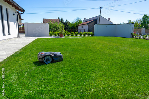 robot mower working in the garden on beautiful green grass