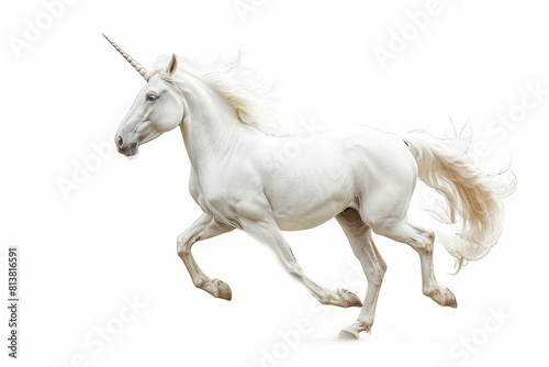 Mystical unicorn photo on white isolated background © Aditya