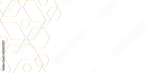 Hand drawn lines. Abstract pattern wave simple seamless, background. golden transparent material in haxagone diamond shapes in random geometric pattern. Distress overlay vector textures.