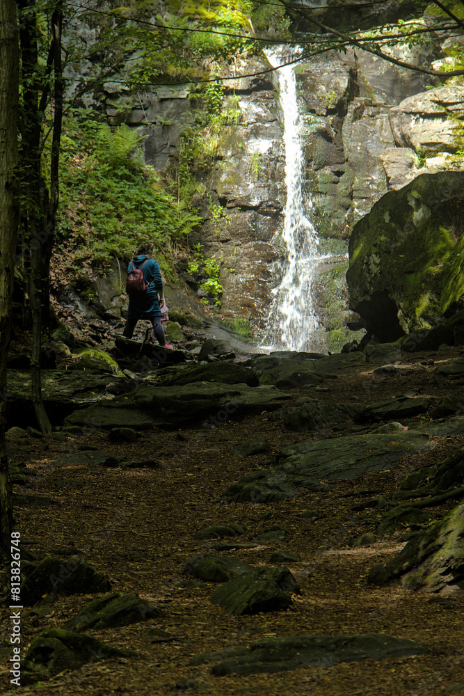 a waterfall in the forest flows from a moss-covered rock and continues through the forest a waterfall in the forest flows from a moss-covered rock and continues through the forest