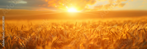 Breathtaking Photo Realistic Image of Golden Field Sunset Capturing the Tranquil Beauty of Countryside Landscape © Gohgah