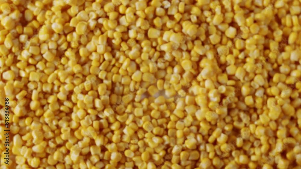 Top view of a surface filled with many ripe corn kernels. zoom and slow motion. Fresh corn kernels on yellow textured surface. Top view of a surface filled with many ripe corn kernels. zoom and slow motion. Fresh corn kernels on yellow textured surface.
