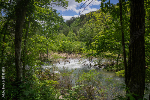 A view of Big Soddy Creek Gulf through the trees. Photographed from the shaded trail that runs along the river and offers beautiful views of the water. photo