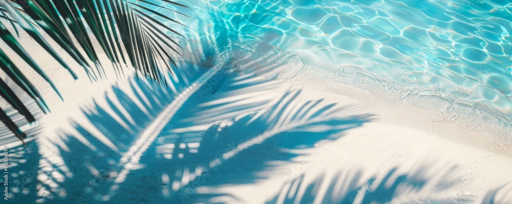 Top view of tropical leaf shadow on the water surface. Shadow of palm leaves on white sand beach. Beautiful abstract background concept banner for summer vacation at the beach 