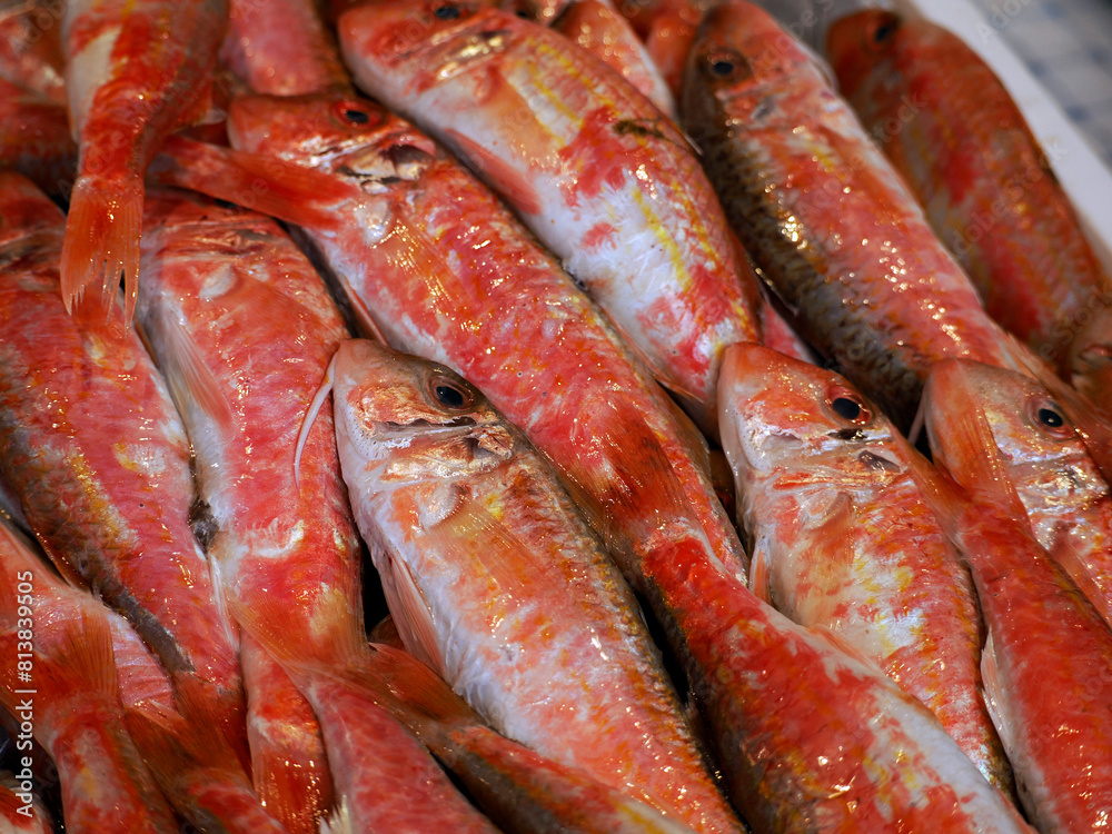 red mullet fresh fish seafood at Ortigia Syracuse sicily fish market Italy red mullet fresh fish seafood at Ortigia Syracuse sicily fish market Italy