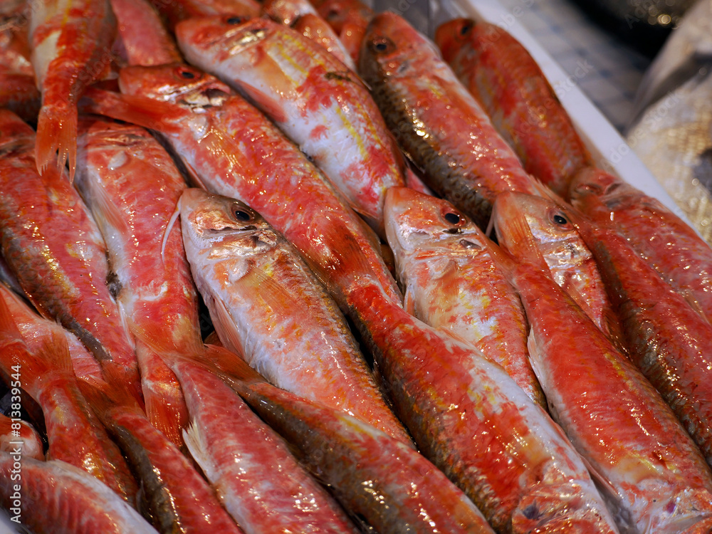 red mullet fresh fish seafood at Ortigia Syracuse sicily fish market Italy red mullet fresh fish seafood at Ortigia Syracuse sicily fish market Italy