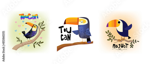 Tropical toucan birds on branch, forest on background hand drawn vector illustration.