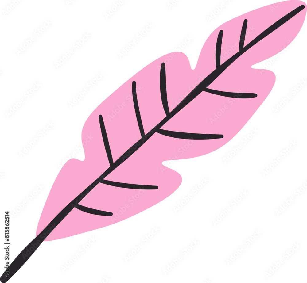 Feather Hand Drawn Feather Hand Drawn