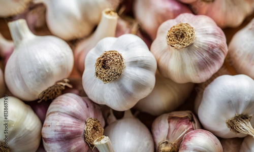 Garlic bulbs scattered on a surface. Each bulb is plump and white with slight purple tinges, and the roots of the garlic are visible and appear dry and fibrous.