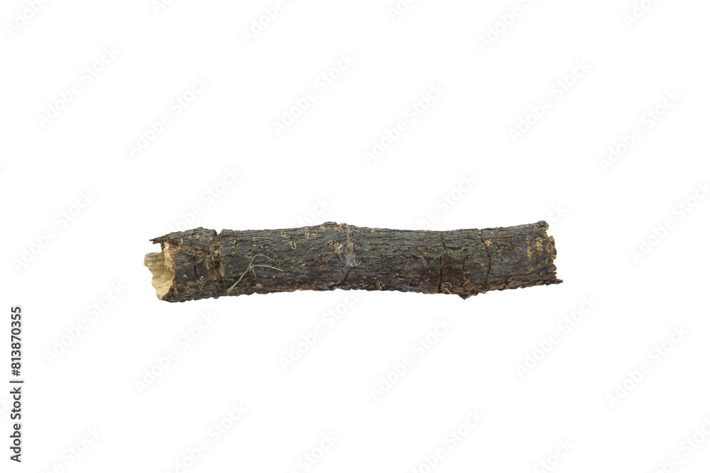 small dry branches isolated on white background.Selection focus. small dry branches isolated on white background.Selection focus.
