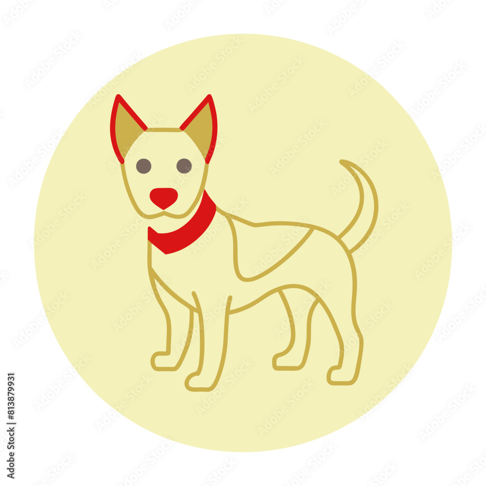 dog dog