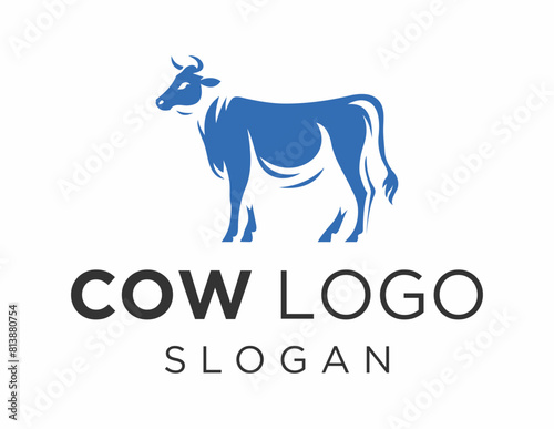 Logo design about Cow on a white background. made using the CorelDraw application. photo