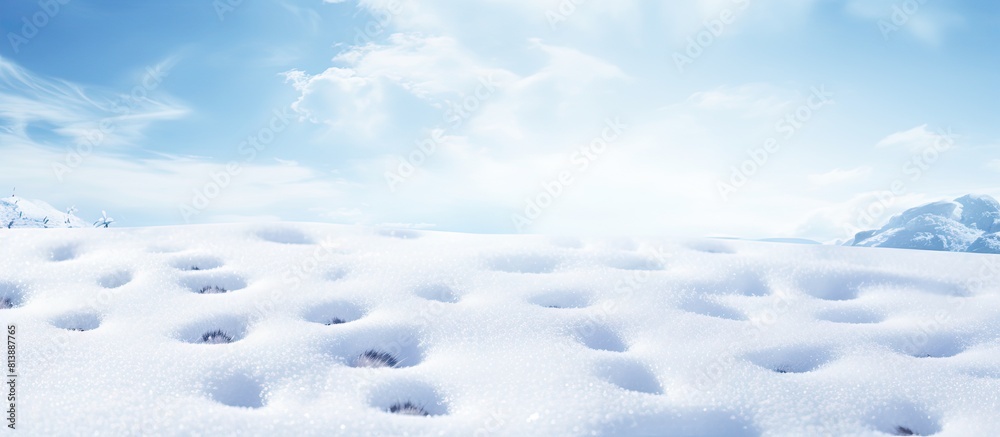 Winter s white snow is adorned with delicate cat paw prints creating a picturesque background with ample copy space Winter s white snow is adorned with delicate cat paw prints creating a picturesque background with ample copy space