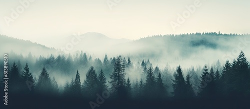 Tranquil misty forest A serene morning scene where fog envelops a spruce forest creating a peaceful nature landscape with the silhouettes of fir tree tops Copy space image photo
