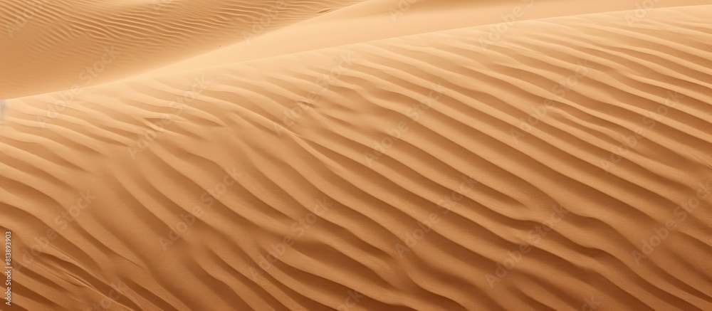 The background features a textured surface resembling sand perfect for use as a copy space image The background features a textured surface resembling sand perfect for use as a copy space image