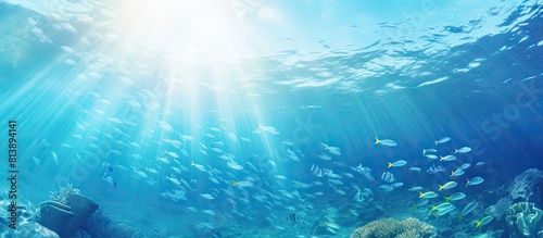 The vast ocean teeming with a variety of colorful fish provides a perfect backdrop for this image with ample copy space