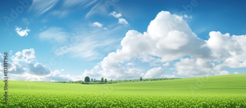 Green field with open blue sky and clouds perfect for copy space image