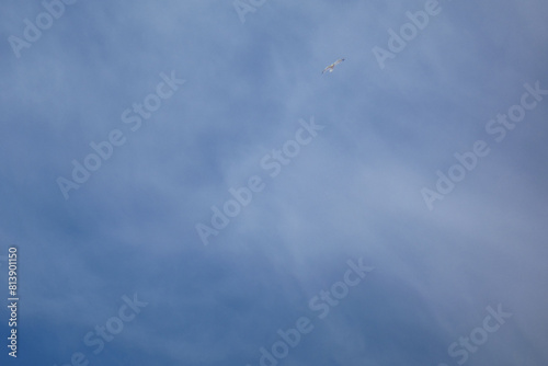 Wallpaper Mural Cielo Torontodigital.ca