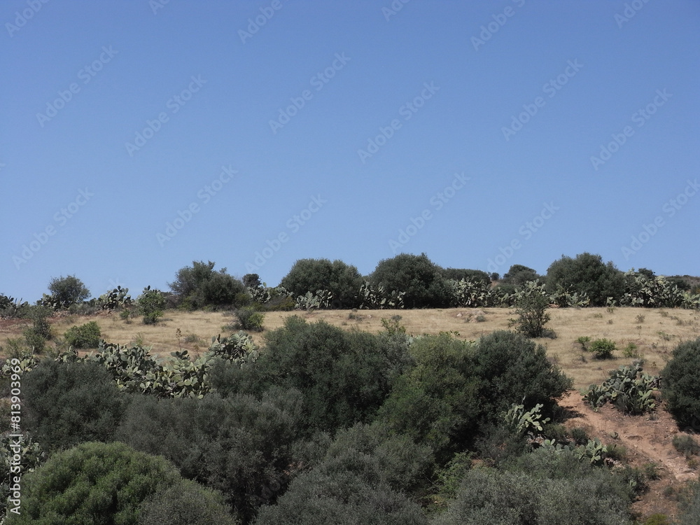 Paesaggio Paesaggio