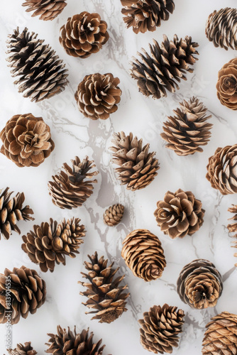 A minimalist still life featuring an arrangement of pine cones, with their intricate patterns and earthy tones arranged in a simple yet captivating composition 