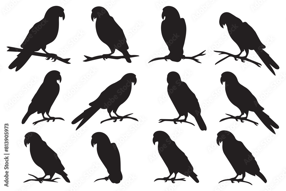 Obraz premium parrot bird silhouette black vector illustration