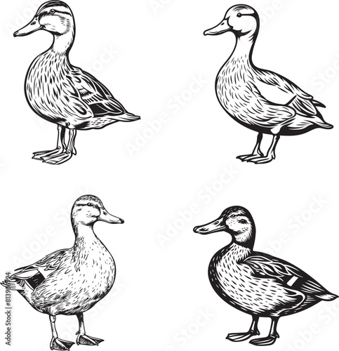 black and white duck outline