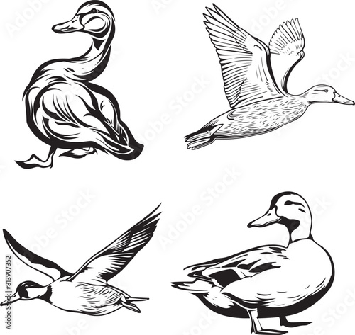 black and white duck outline