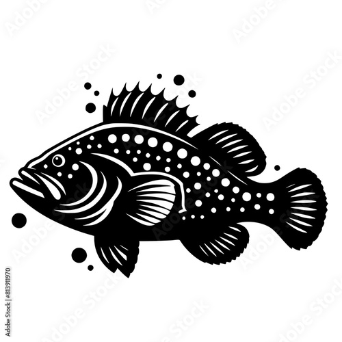 Grouper fish isolated on white