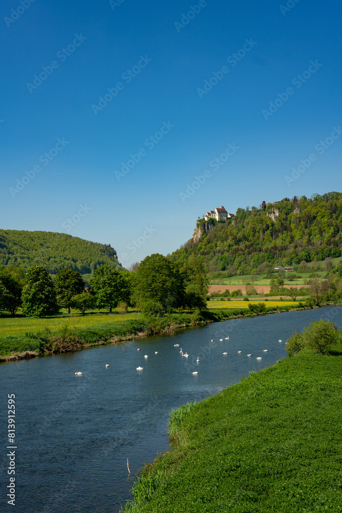 Fototapeta premium Donautal, Donau, Rocks, Germany, river, forest