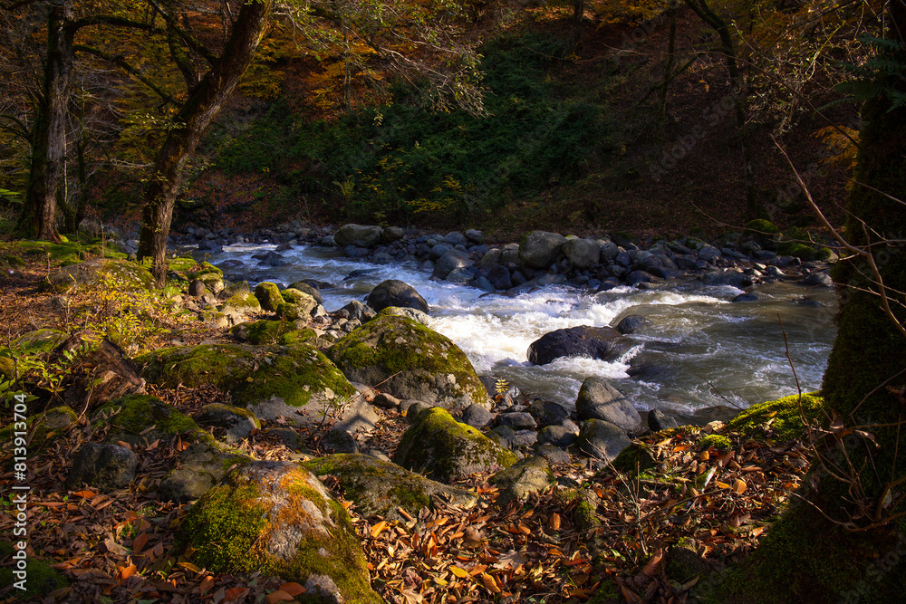 Fast clear river in the forest in autumn. Azerbaijan. Fast clear river in the forest in autumn. Azerbaijan.