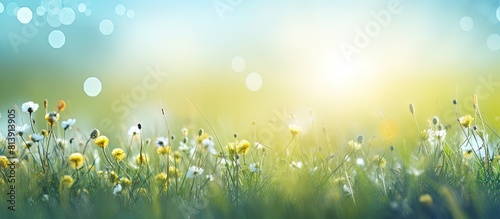 Enhance your design with abstract natural backgrounds showcasing the beauty of a meadow Copy space image