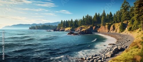 A picturesque coastline with pine forests cascading down to the ocean embodying the essence of nature and coastal living Ideal for copy space image photo
