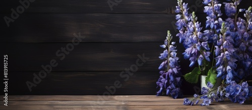 Florist s copy space image featuring a Delphinium against a dark wooden backdrop photo