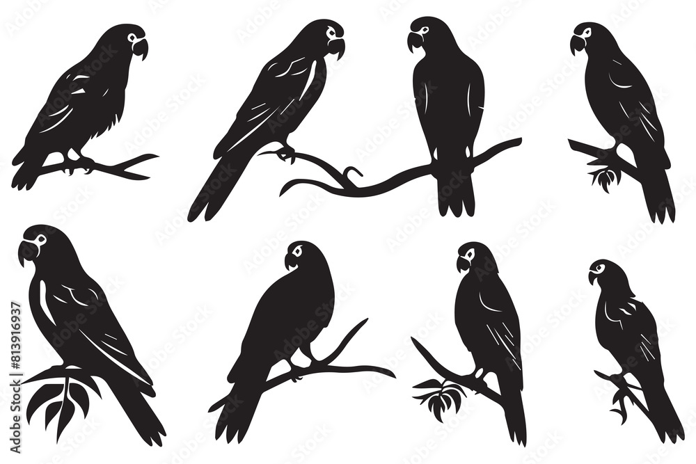 set of parrot silhouettes vector set of parrot silhouettes vector