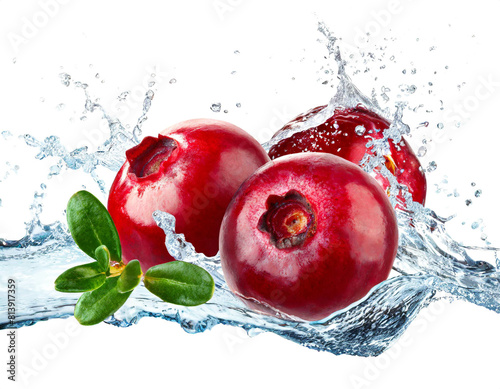 Cranberry mit wasser splash isoliert auf weißen Hintergrund, Freisteller photo