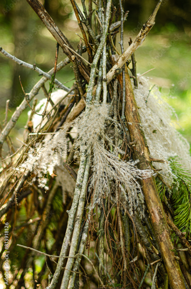 The Tree Hut. High quality photo The Tree Hut. High quality photo