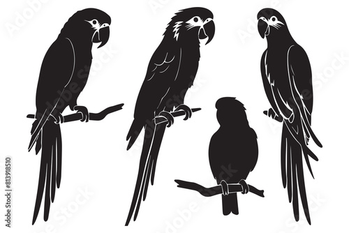 set of parrot silhouettes vector