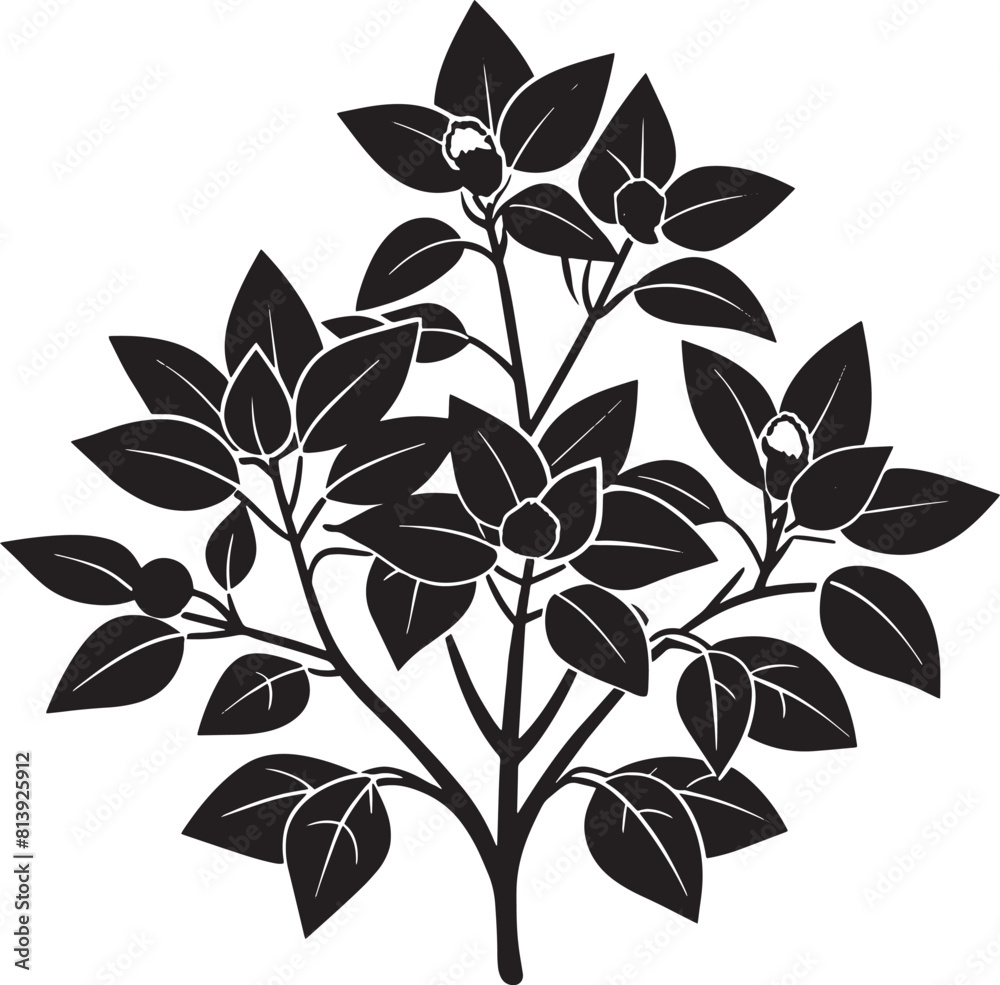 Obraz premium Illustration of a branch with leaves and flowers. Black and white.