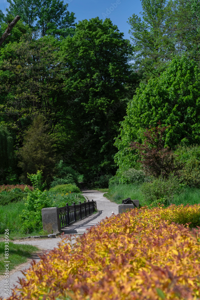 path in the park in spring. Clear weather. Surrounding world. Walking path in the park in spring. Clear weather. Surrounding world. Walking