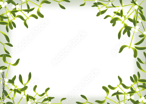 frame of mistletoe plant with white berries 