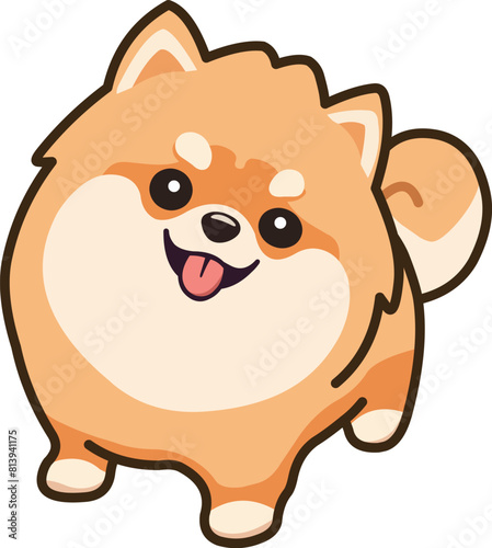 Cute Pomeranian dog showing tongue out