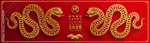 Happy chinese new year 2025 the snake zodiac sign with flower,lantern,asian elements red paper cut style on color background. ( Translation : happy new year 2025 year of the snake )
